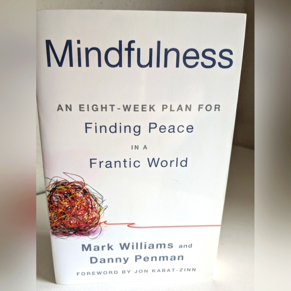 Mindfulness Book by Mark Williams and Danny Penman Paperback Excellent Condition
